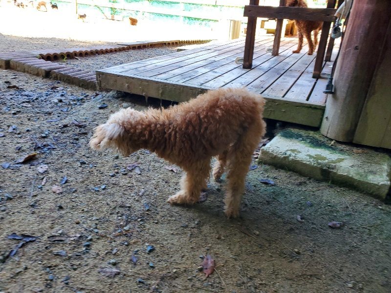 f:id:roukenhome-ann:20191010181451j:plain