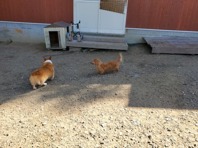 f:id:roukenhome-ann:20191010181525j:plain
