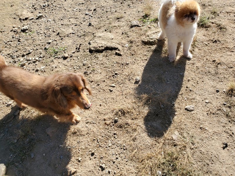 f:id:roukenhome-ann:20191010181556j:plain