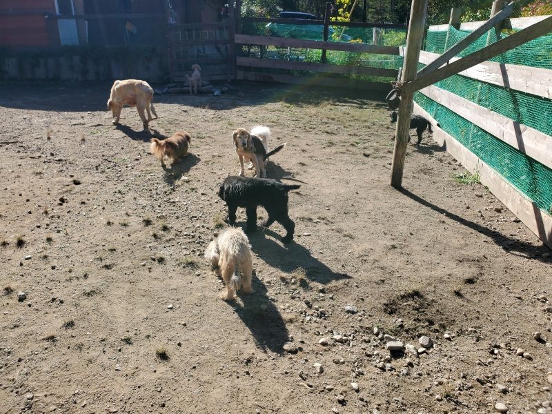 f:id:roukenhome-ann:20191010181615j:plain