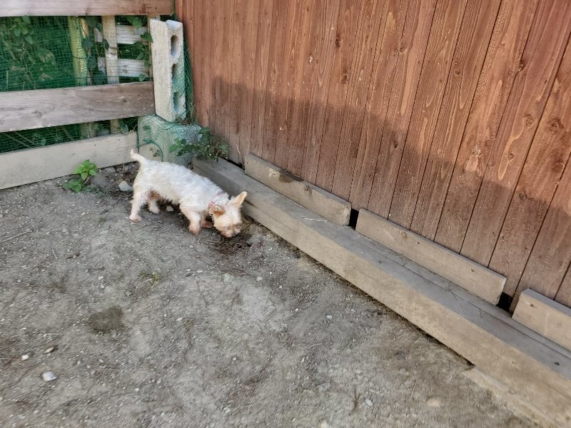 f:id:roukenhome-ann:20191010181715j:plain