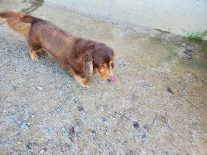 f:id:roukenhome-ann:20191010182244j:plain