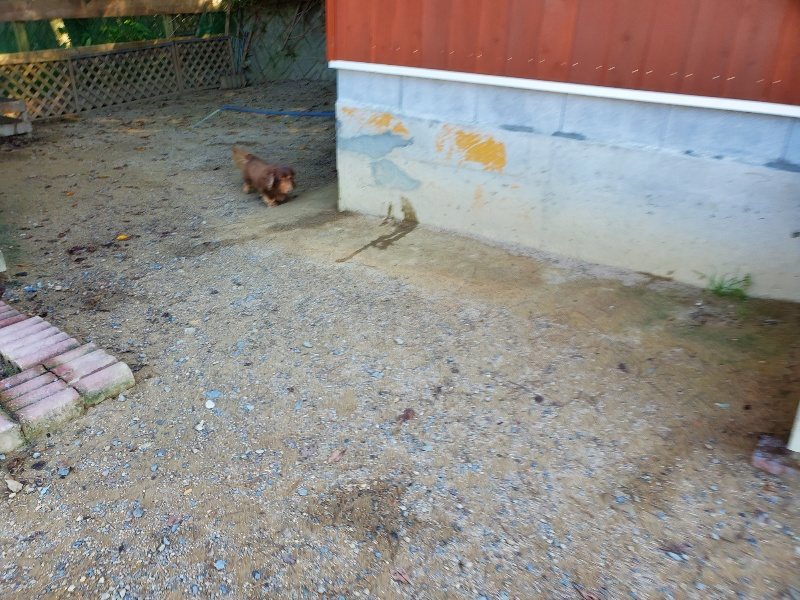 f:id:roukenhome-ann:20191010182332j:plain