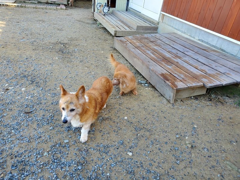 f:id:roukenhome-ann:20191010182433j:plain
