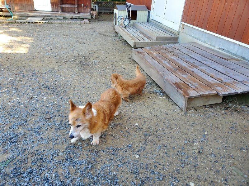 f:id:roukenhome-ann:20191010182446j:plain