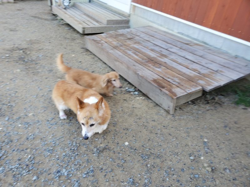f:id:roukenhome-ann:20191010182457j:plain