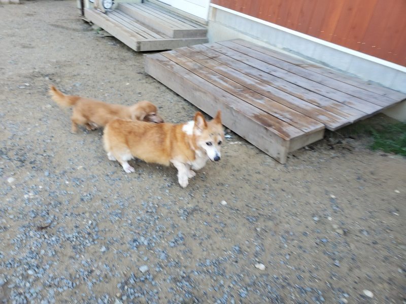f:id:roukenhome-ann:20191010182506j:plain
