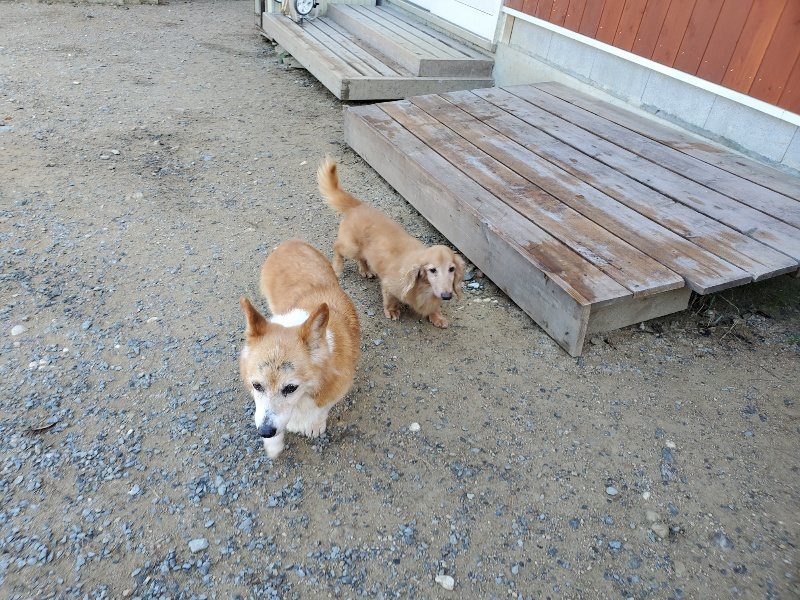 f:id:roukenhome-ann:20191010182522j:plain
