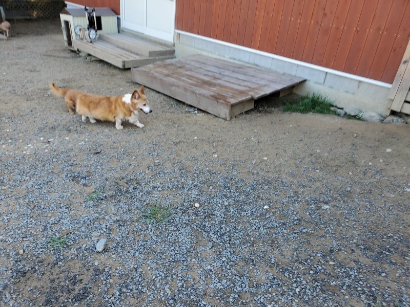 f:id:roukenhome-ann:20191010182548j:plain