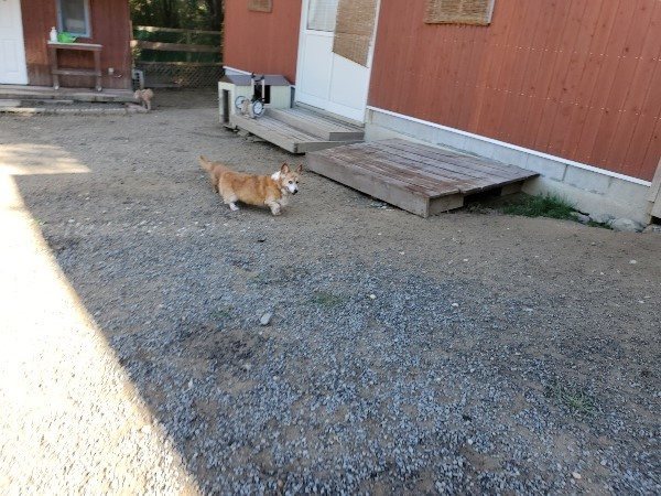 f:id:roukenhome-ann:20191010182557j:plain