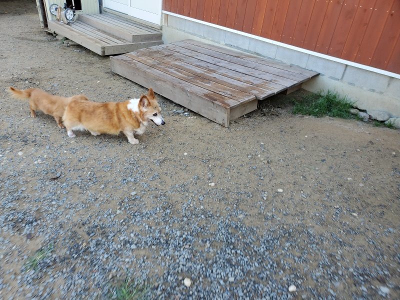 f:id:roukenhome-ann:20191010182607j:plain