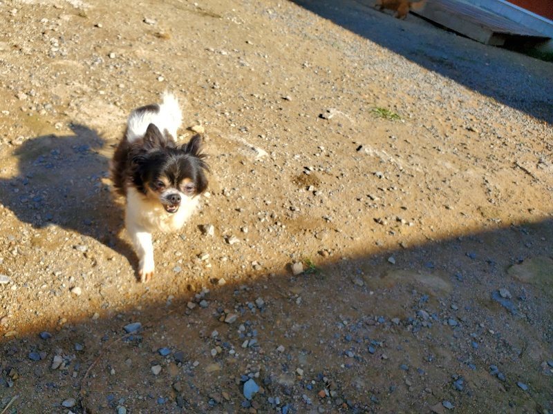 f:id:roukenhome-ann:20191010182713j:plain