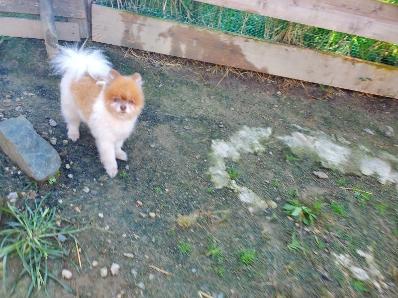 f:id:roukenhome-ann:20191010182749j:plain