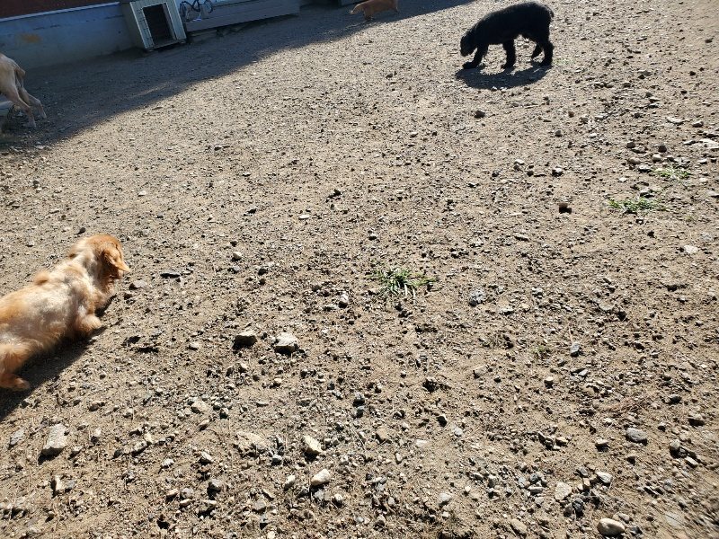 f:id:roukenhome-ann:20191010184024j:plain