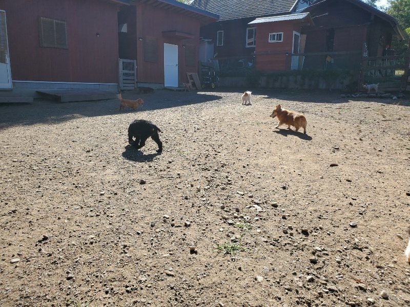 f:id:roukenhome-ann:20191010184043j:plain