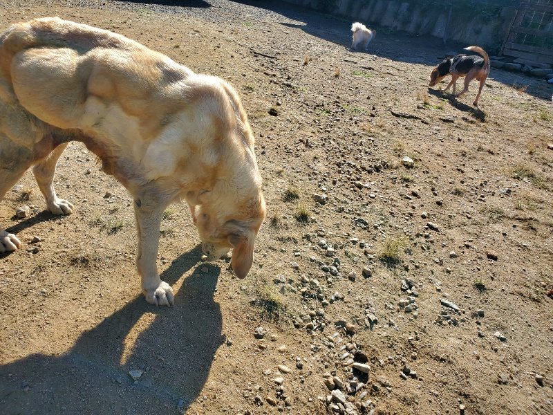 f:id:roukenhome-ann:20191010184232j:plain