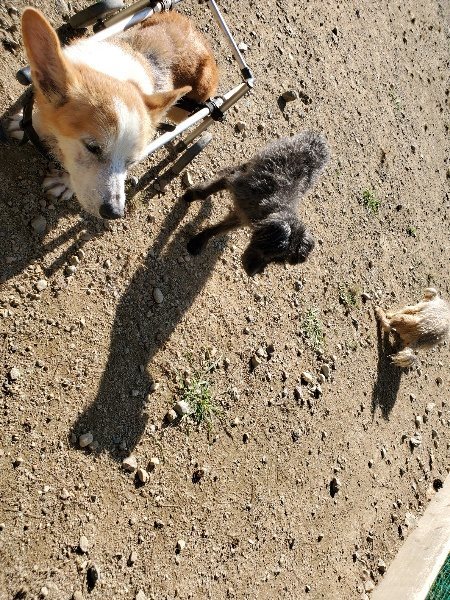 f:id:roukenhome-ann:20191010185441j:plain
