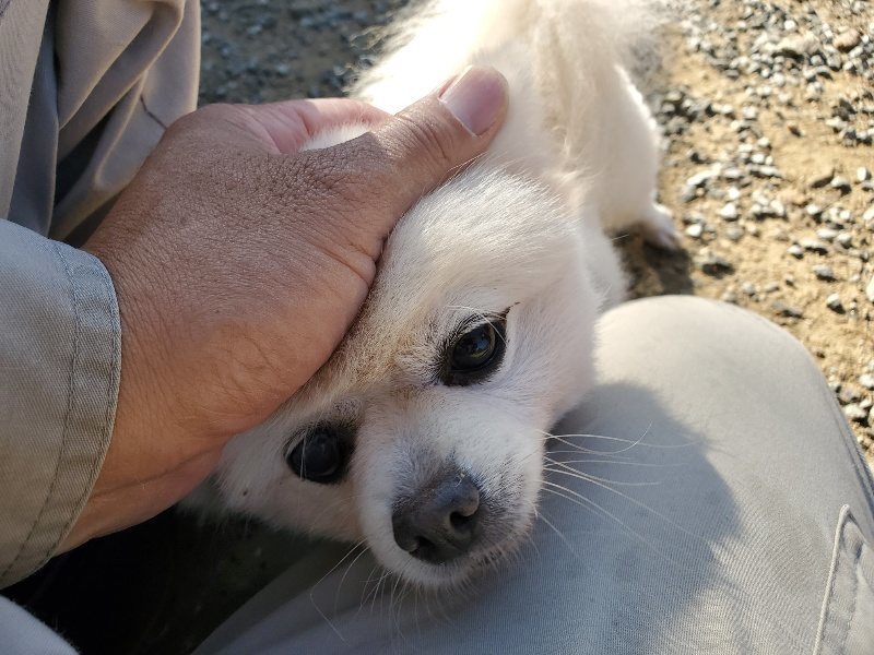 f:id:roukenhome-ann:20191010190238j:plain