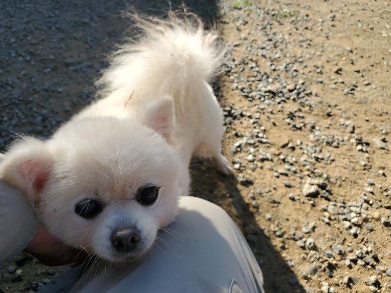 f:id:roukenhome-ann:20191010190321j:plain