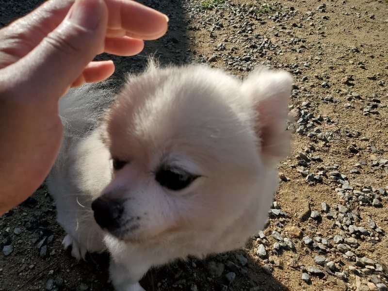 f:id:roukenhome-ann:20191010190421j:plain