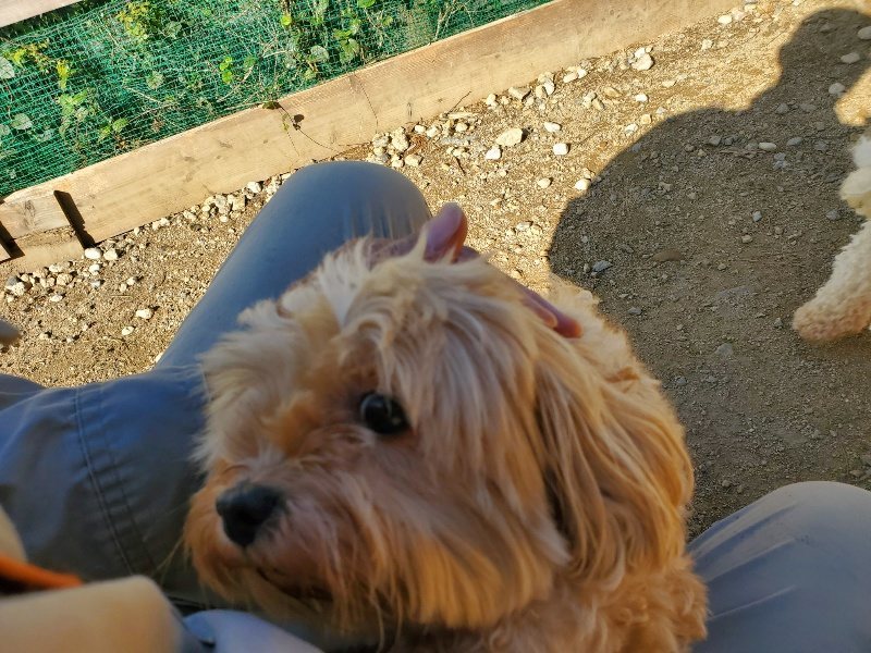 f:id:roukenhome-ann:20191010190540j:plain
