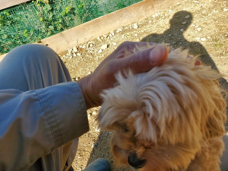 f:id:roukenhome-ann:20191010190604j:plain