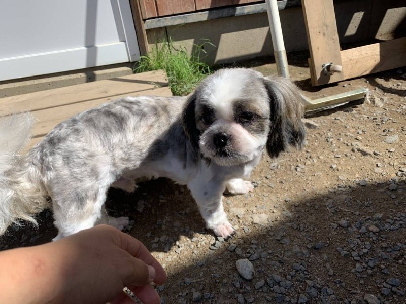 f:id:roukenhome-ann:20191010191446j:plain