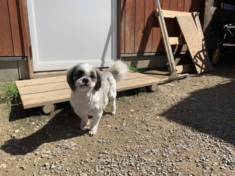 f:id:roukenhome-ann:20191010191455j:plain