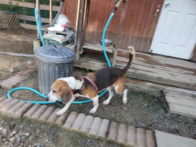 f:id:roukenhome-ann:20191010191544j:plain