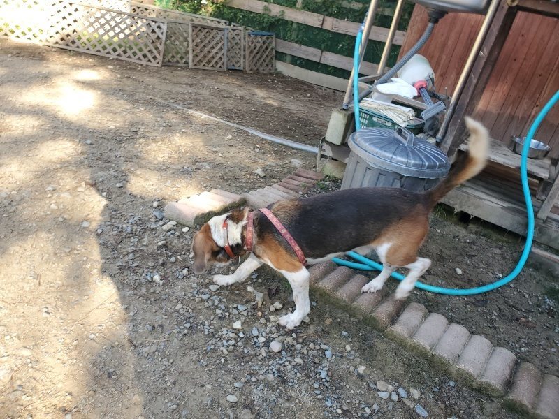 f:id:roukenhome-ann:20191010191617j:plain