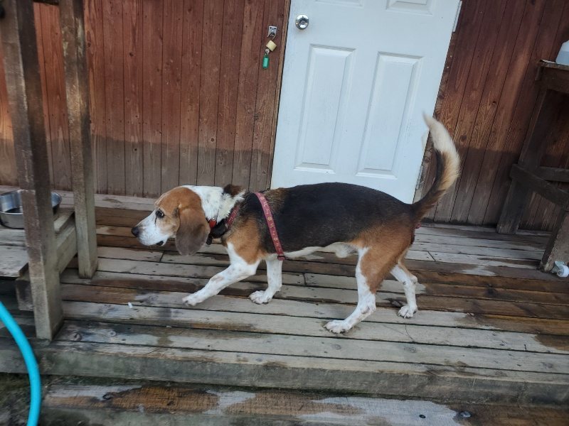 f:id:roukenhome-ann:20191010191629j:plain