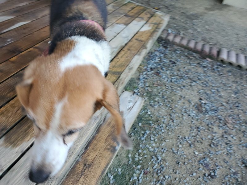 f:id:roukenhome-ann:20191010191636j:plain