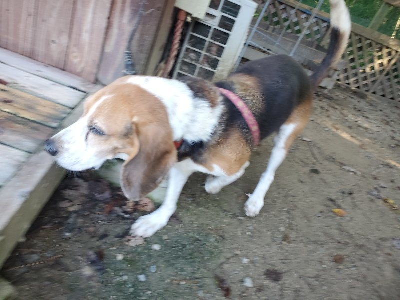 f:id:roukenhome-ann:20191010191642j:plain