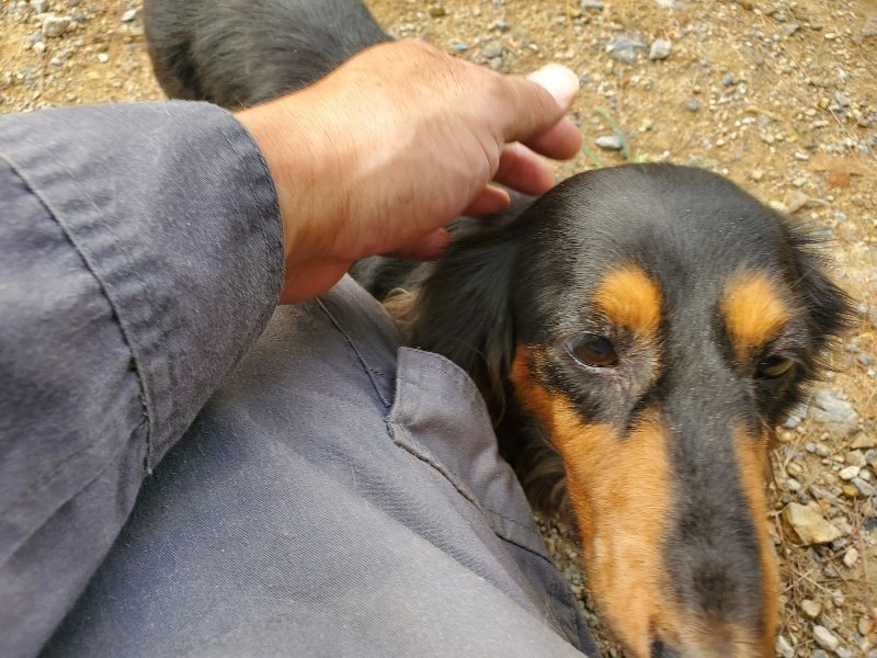 f:id:roukenhome-ann:20191011175933j:plain