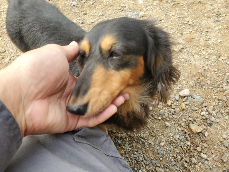 f:id:roukenhome-ann:20191011175939j:plain