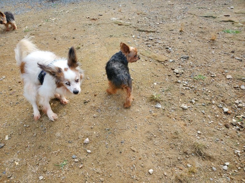 f:id:roukenhome-ann:20191011175945j:plain