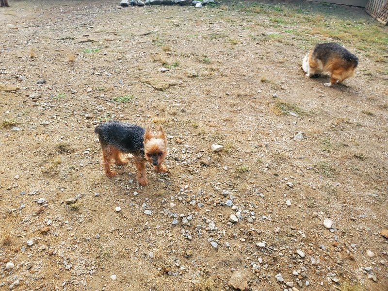 f:id:roukenhome-ann:20191011175953j:plain
