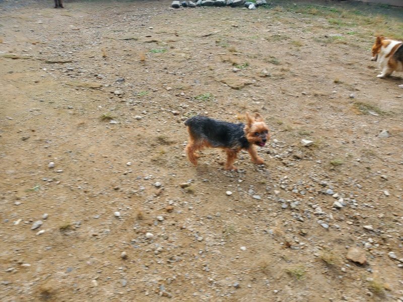 f:id:roukenhome-ann:20191011180011j:plain