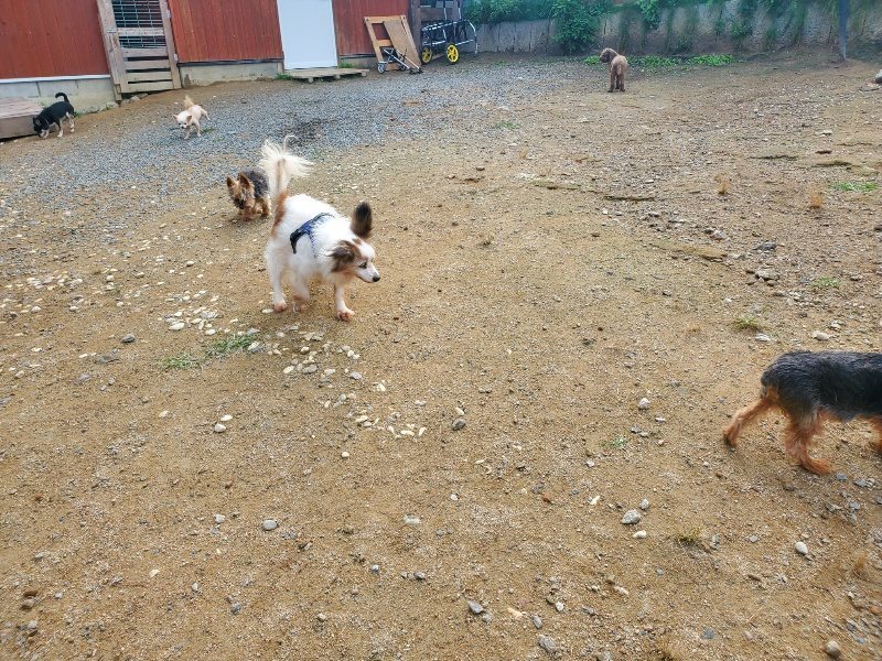 f:id:roukenhome-ann:20191011180026j:plain
