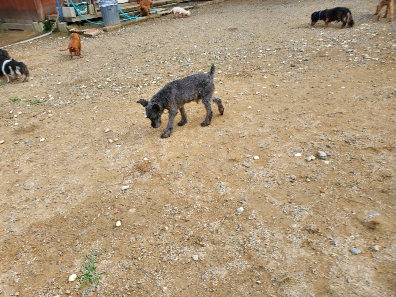 f:id:roukenhome-ann:20191011180059j:plain