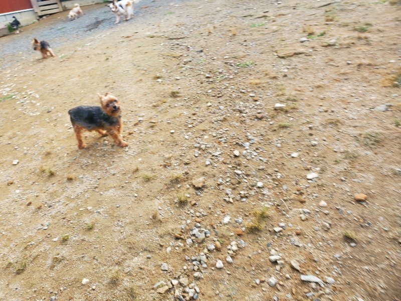 f:id:roukenhome-ann:20191011180107j:plain