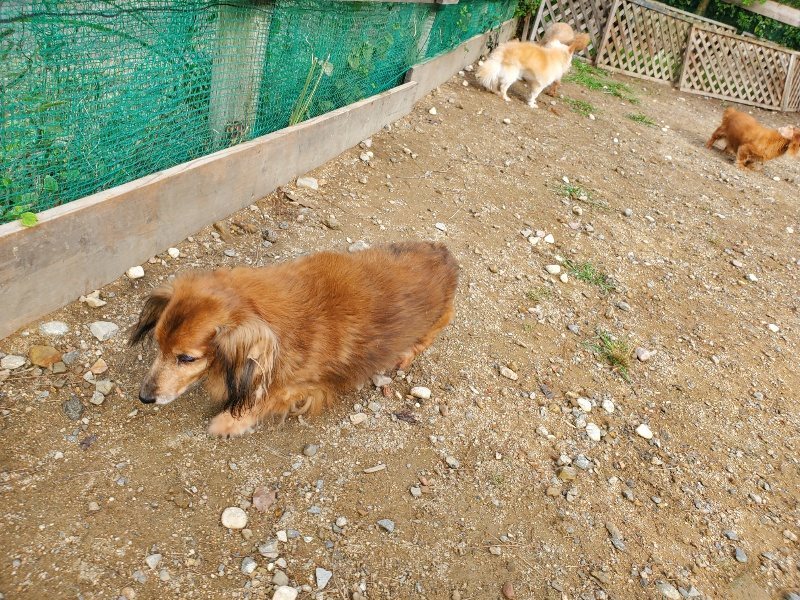f:id:roukenhome-ann:20191011180135j:plain