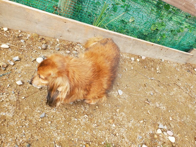 f:id:roukenhome-ann:20191011180147j:plain