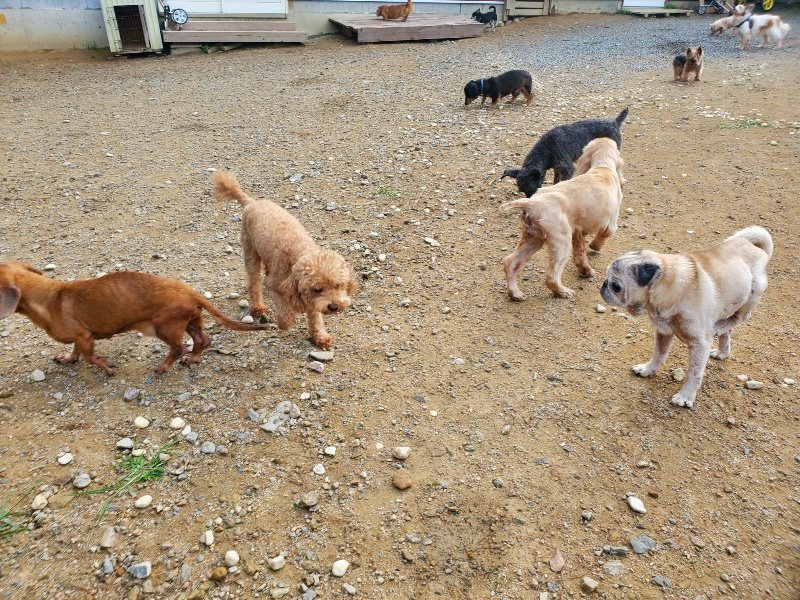 f:id:roukenhome-ann:20191011180212j:plain