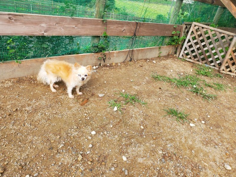 f:id:roukenhome-ann:20191011180254j:plain