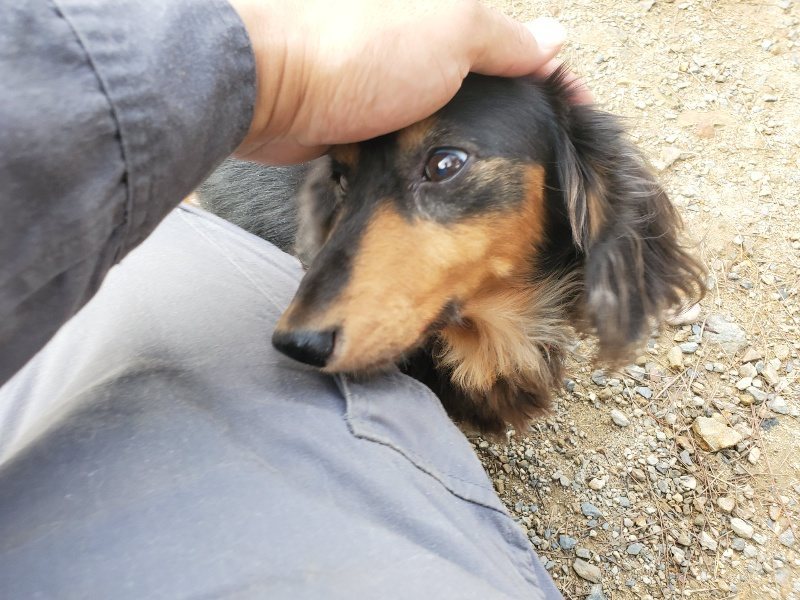 f:id:roukenhome-ann:20191011180609j:plain