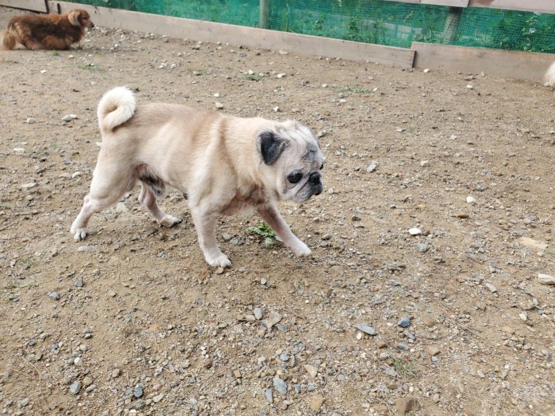f:id:roukenhome-ann:20191011180622j:plain