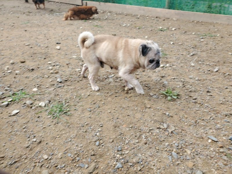 f:id:roukenhome-ann:20191011180631j:plain