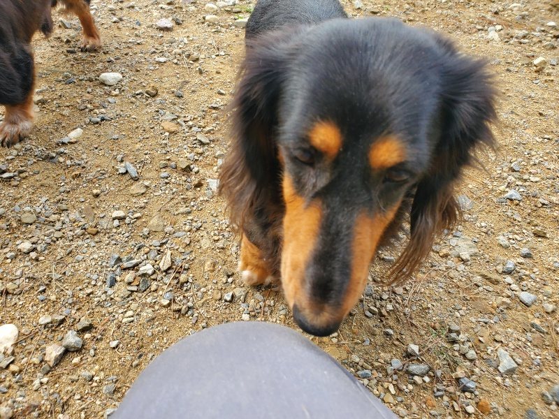f:id:roukenhome-ann:20191011180723j:plain