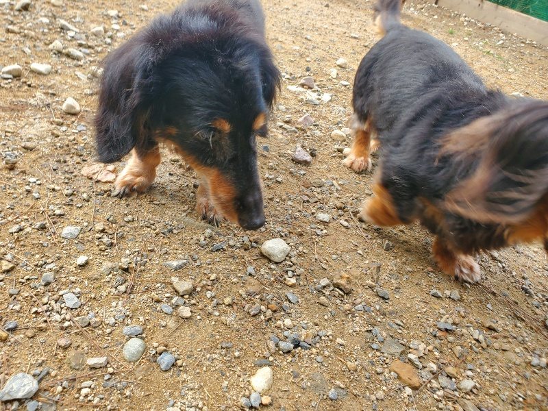 f:id:roukenhome-ann:20191011180738j:plain
